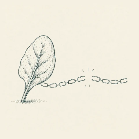 Hand-drawn-style drawing: a broad veined leaf joined to a chain that has snapped apart at one link.